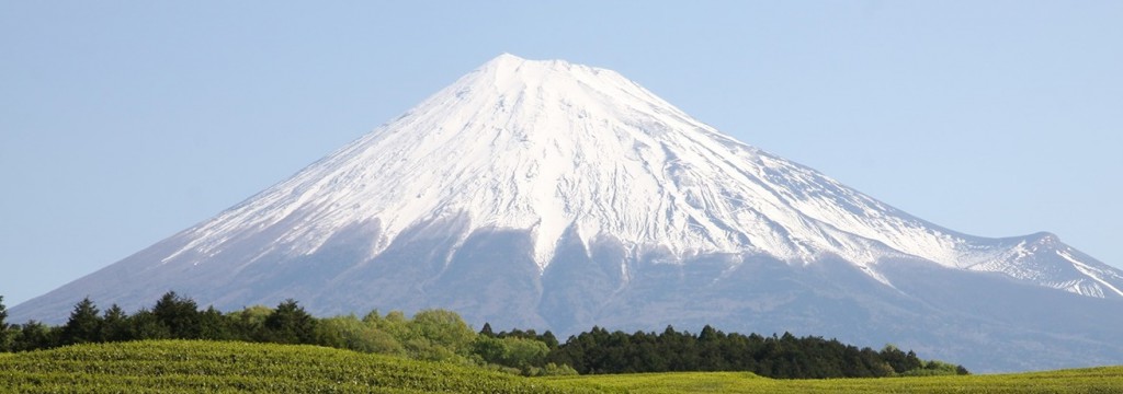 富士山と茶畑2
