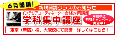 �C���e���A�R�[�f�B�l�[�^�|1���w�ȏW���u��6���J�u�N���X��W�J�n�I